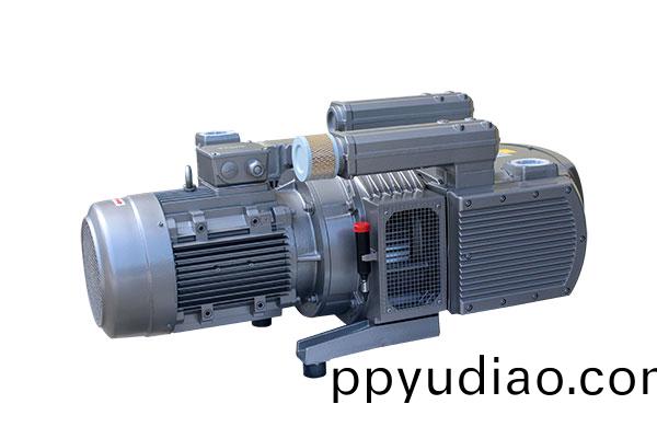 RVE400碳(tan)片真空泵 無油鏇片泵