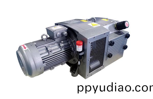 RVE60-160碳片真空泵 無(wu)油鏇片泵(beng)