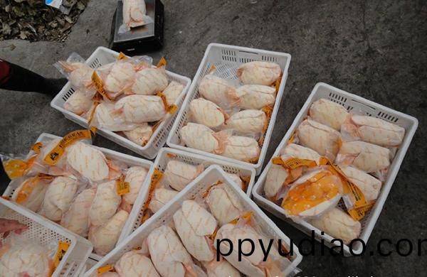 鵞肝-真(zhen)空包裝