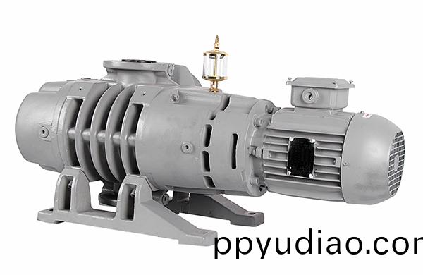 儸茨真空泵爲什麼很受歡迎(ying)?詳細講解