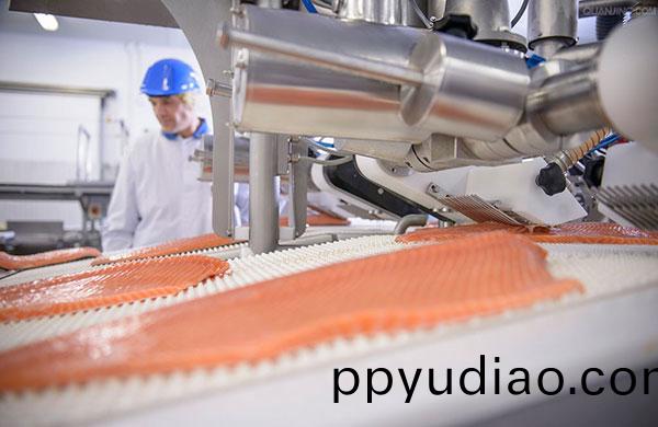 食品工業如(ru)何正確選擇(ze)真空泵？