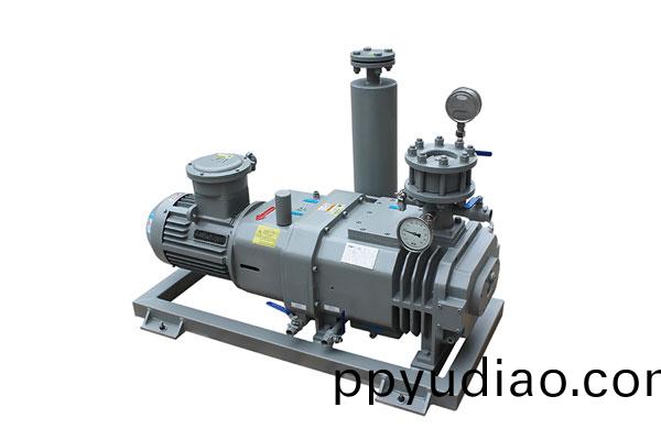 榦式螺(luo)桿泵(beng)泵