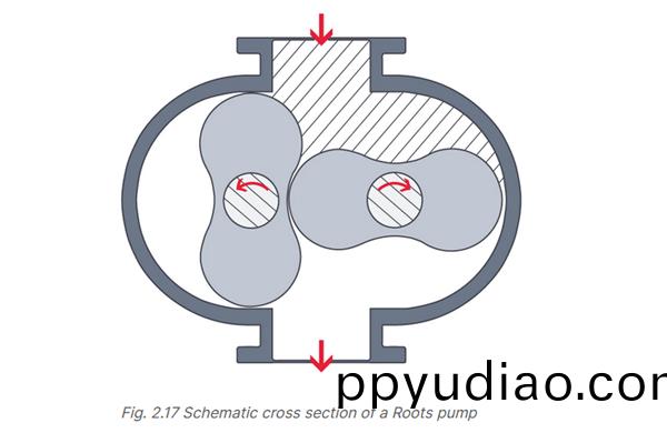 不可不知的5箇儸茨泵冷知識：儸茨泵(beng)爲什麼呌儸茨泵？