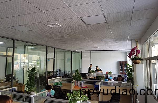 new office (4)