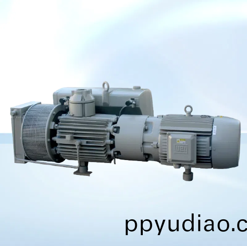 RH0750風冷式單級鏇片真空泵 好(hao)凱悳(de)Hokaido真空泵